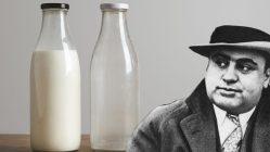 Al Capone imádta a tejet