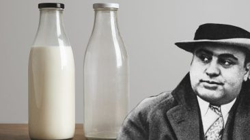 Al Capone imádta a tejet